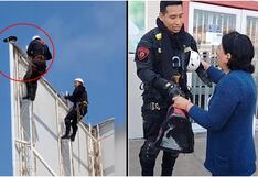 Ica: rescatan a “Panchita”, gatita atrapada dos días en un panel publicitario en Parcona