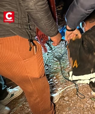Puno: vecinos retienen y castigan a cuatro presuntos policías del Grupo Terna acusados de robar en una vivienda. Fotos: Feliciano Gutiérrez Suca.