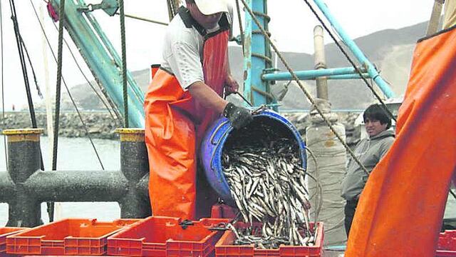 Produce: Seguro para pescadores artesanales llegará al menos a 40 mil