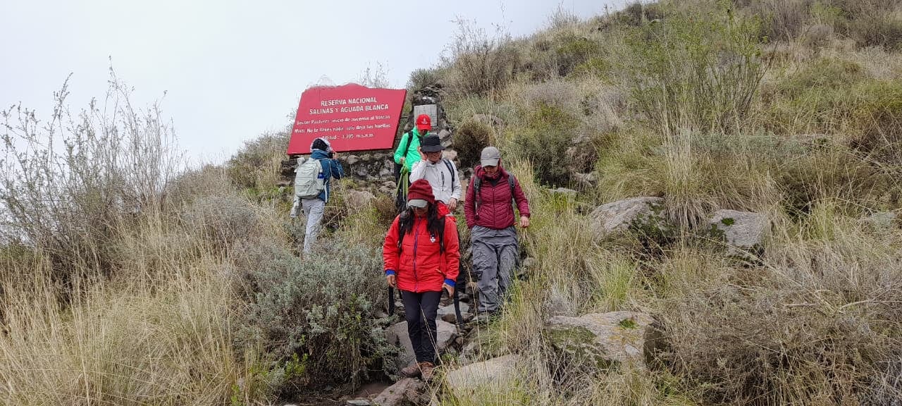 Andinistas sembraron 100 queñuales en las faldas del Misti en Arequipa. Foto: Club Deportivo de Andinismo Arequipa