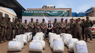 La Libertad: Policía decomisa más de 620 kilos de marihuana e incinera 32 mil plantones