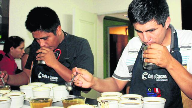 ​Catadores de café obtienen certificación internacional