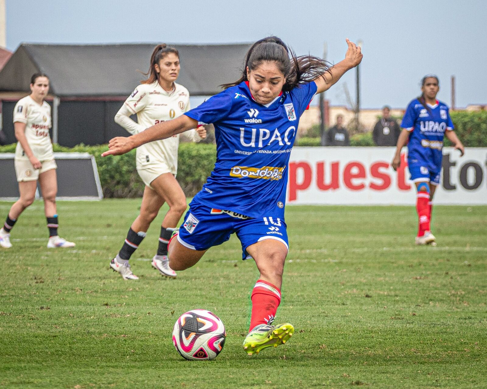 Las carlistas buscarán llegar a la final. (Foto: CAM)