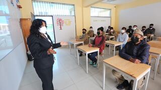 Arequipa: Colegios requieren más psicólogos para ayudar a escolares