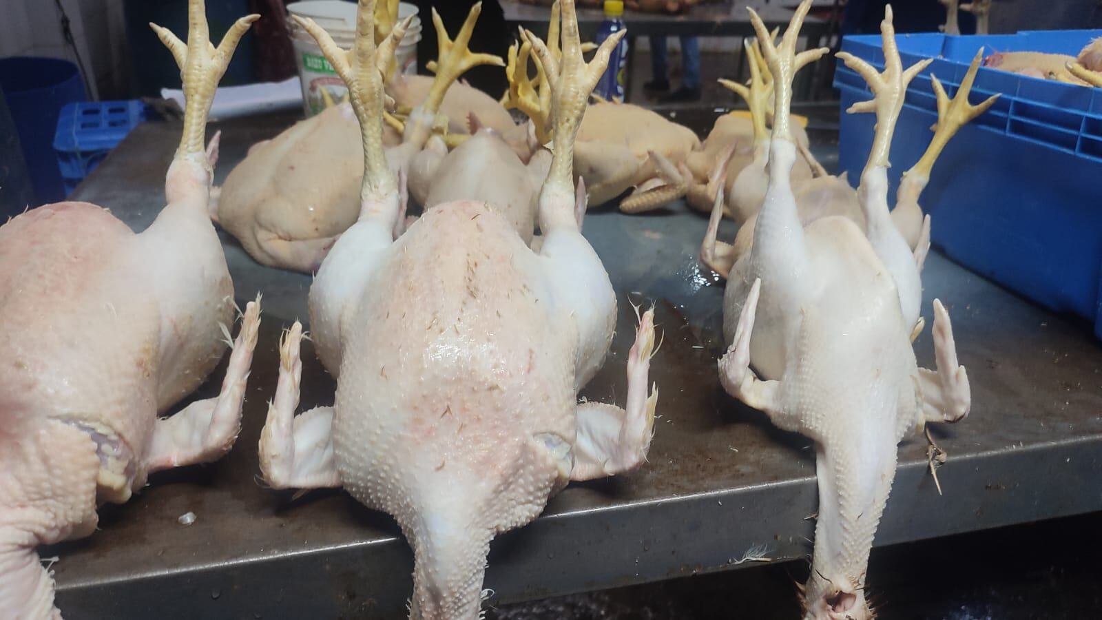 Este jueves se realizó una visita inopinada e intervención. Foto: Municipalidad de Chorrillos