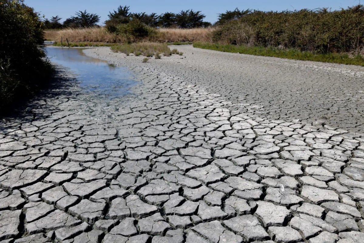 La medida, establecida mediante el Decreto Supremo N.º 140-2026-PCM, busca facilitar acciones inmediatas de prevención, respuesta y rehabilitación ante el peligro de escasez de agua. El Indeci coordinará técnicamente las intervenciones. (Foto: Andina)