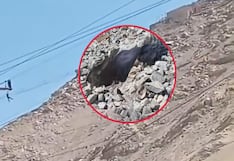 Arequipa: Hombre muere en el centro minero Secocha tras caer de un andarivel