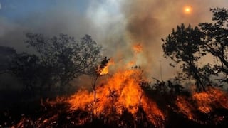 San Martín: Desaparecen tres pobladores tratando de proteger sus cultivos de incendios forestales