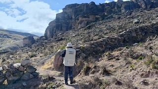Chincha: incendio forestal daña mas de 80 hectáreas de pajonales