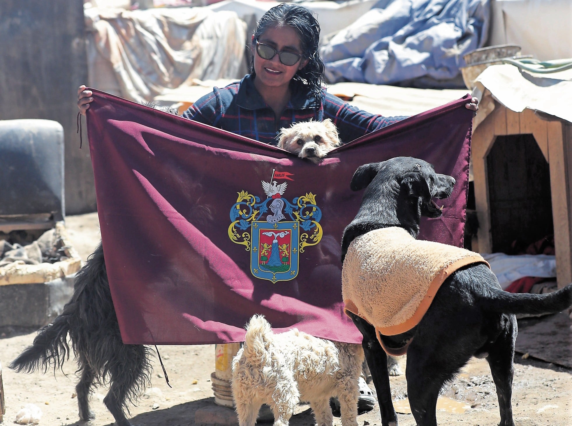 Arequipeña dejó muchas cosas en el camino para dedicarse al ciudado de perros en mal estado. Foto: GEC.