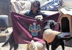 Arequipeña dedica su vida al rescate de perros atropellados