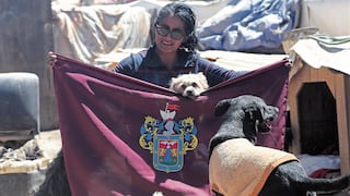 Arequipeña dedica su vida al rescate de perros atropellados