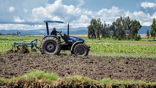 Región La Libertad registra pobre inversión en agricultura