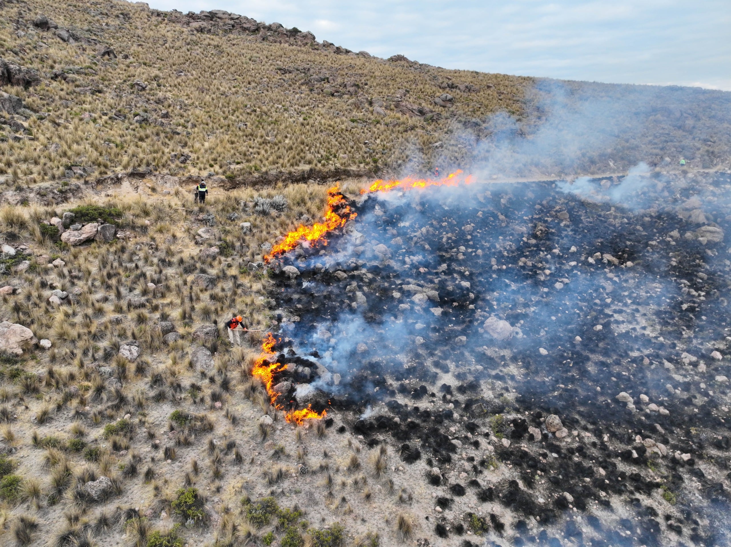 Incendio forestal en el distrito de Toro ya afectó 500 hectáreas, 8 viviendas y ganado. Foto: Gobierno Regional de Arequipa.
