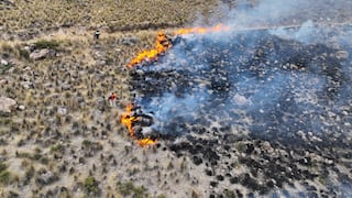 Arequipa: Incendio forestal en Toro ya afectó 500 hectáreas, 8 viviendas y ganado