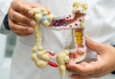 ¿Qué es el microbioma intestinal y por qué es clave para tu salud?