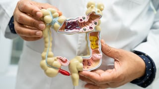 ¿Qué es el microbioma intestinal y por qué es clave para tu salud?