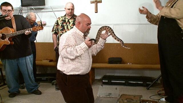 Pastor muere por veneno de serpiente creyendo que "Dios lo iba a salvar"