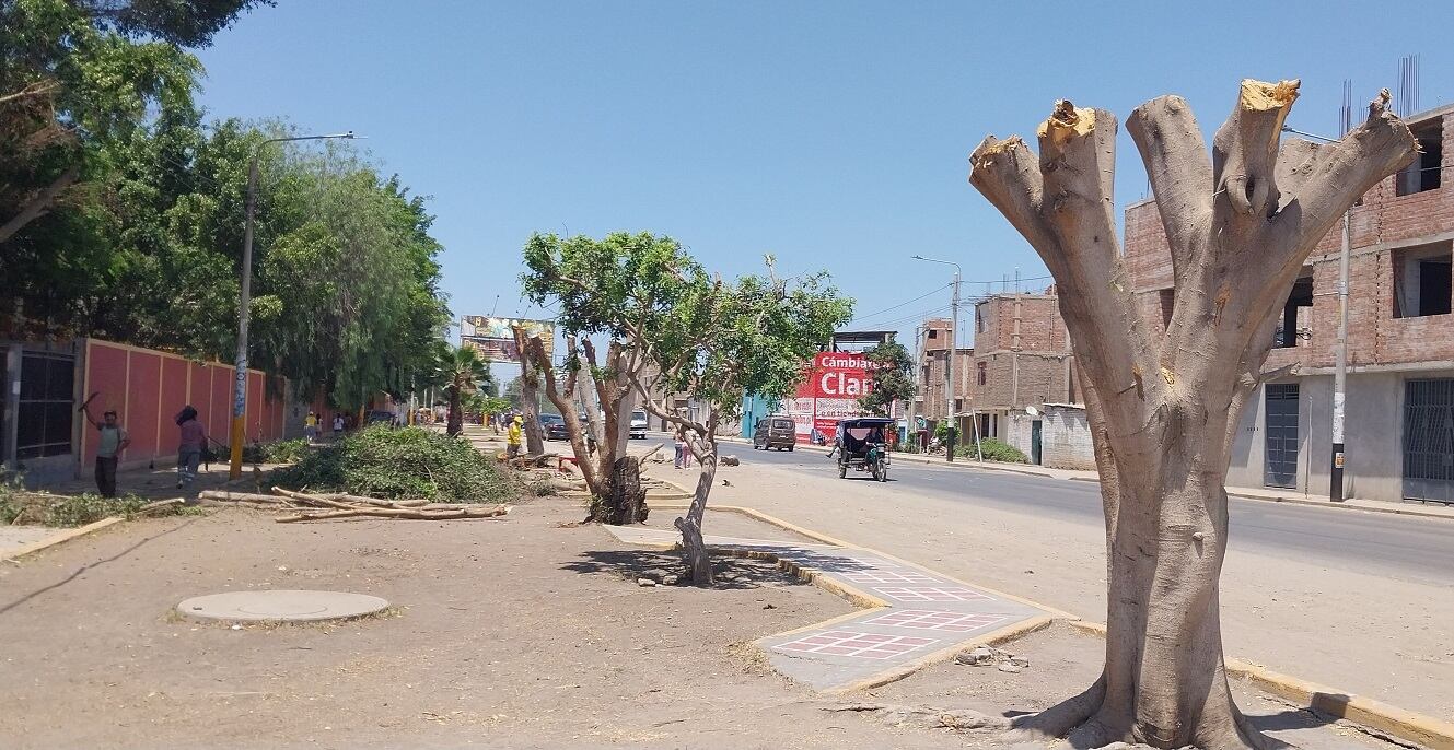 Denuncian daño ambiental.