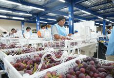 Ica representó el mercado laboral más competitivo en 2024