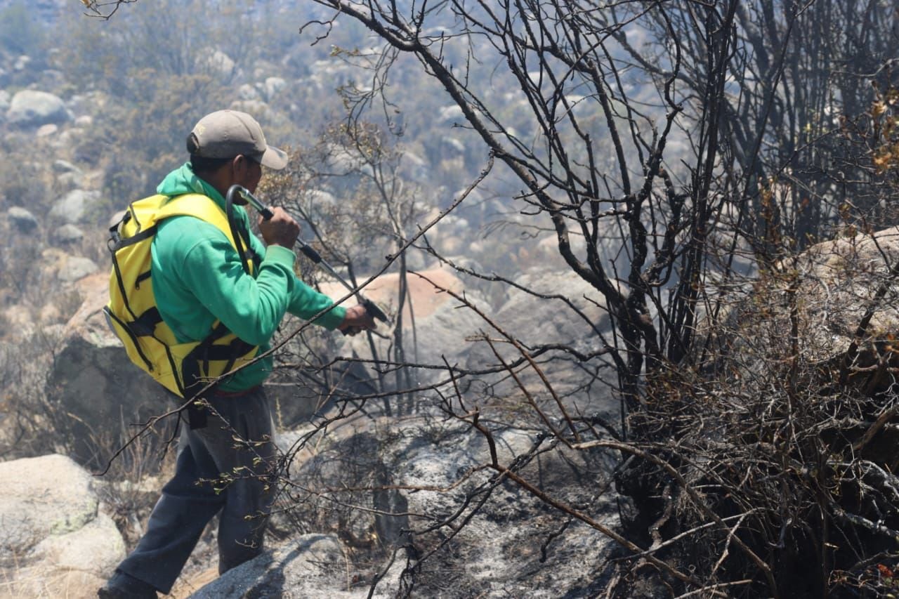 El incendio forestal en Caravelí no puede ser sofocado debido a la falta de maquinaria. (Foto: Difusión)