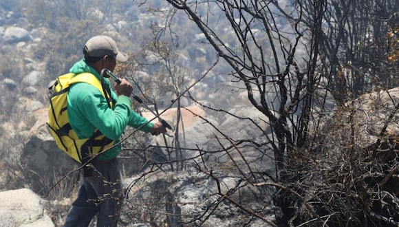 El incendio forestal en Caravelí no puede ser sofocado debido a la falta de maquinaria. (Foto: Difusión)