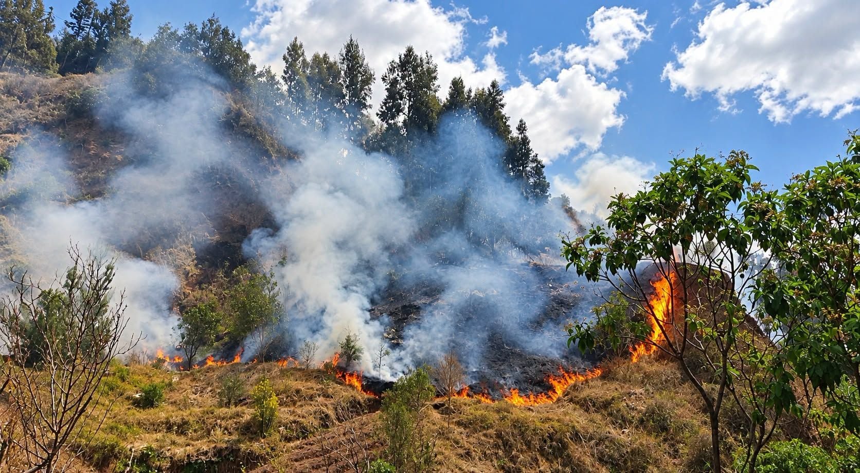 Midagri asegura que el Gobierno atiende todos los incendios forestales en el país