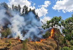 Midagri asegura que el Gobierno atiende todos los incendios forestales en el país