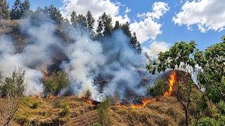 Midagri asegura que el Gobierno atiende todos los incendios forestales en el país