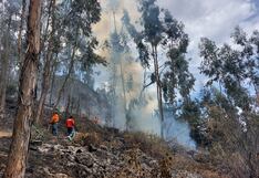 Extinguen 9 incendios forestales en Áncash, Apurímac, Cusco, La Libertad y Lima, según COEN