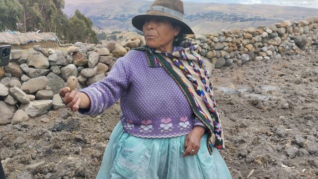 Falta de lluvias preocupa de sobremanera a productores de papa en Huancavelica