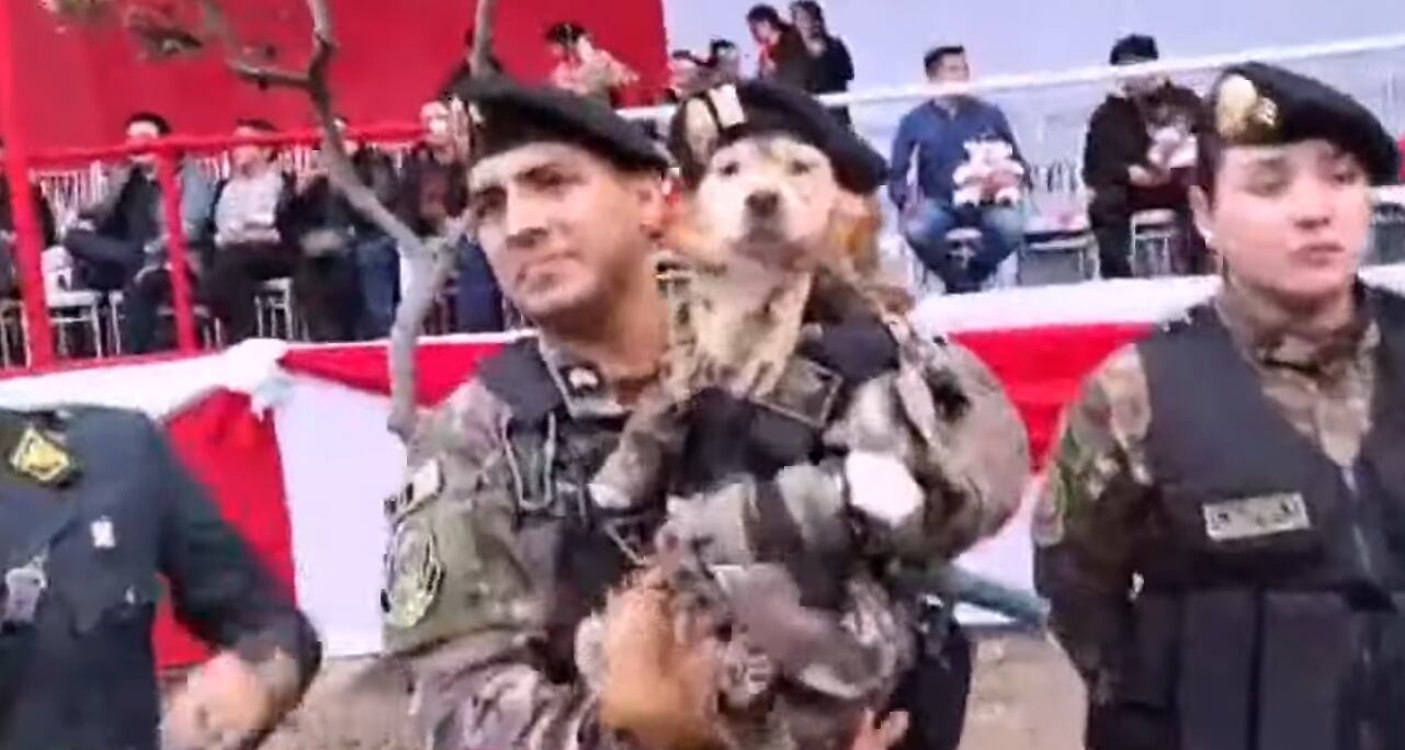 'Chato', perro policía de la Dinoes. (Foto: captura | Exitosa)