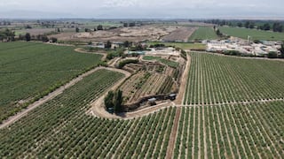 Chincha: otorgan protección provisional al complejo arqueológico San Pedro de Lurinchincha