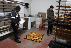 Huancayo: Clausuran panadería en la que hallaron heces de rata, hormigas y polillas