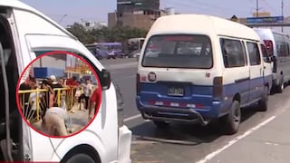 Madre e hija baleadas en San Juan de Miraflores tras ataque armado en la Panamericana Sur