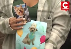 San Isidro: Vecinos denuncian presunto envenenamiento de mascotas en vía pública