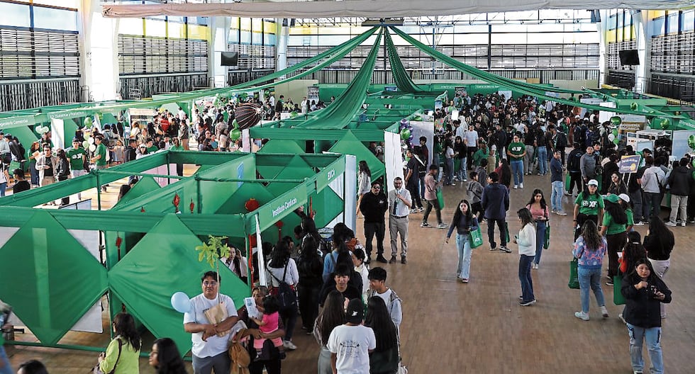 Cato XP Arequipa: La Feria que Impulsará tu Carrera en las Áreas de Mayor Demanda Laboral