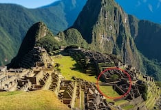 Icónico árbol de pisonay en Machu Picchu está muriendo (FOTOS)