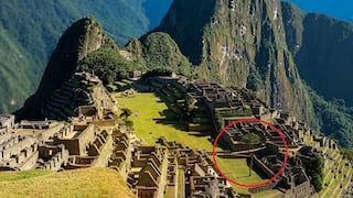 Icónico árbol de pisonay en Machu Picchu está muriendo (FOTOS)