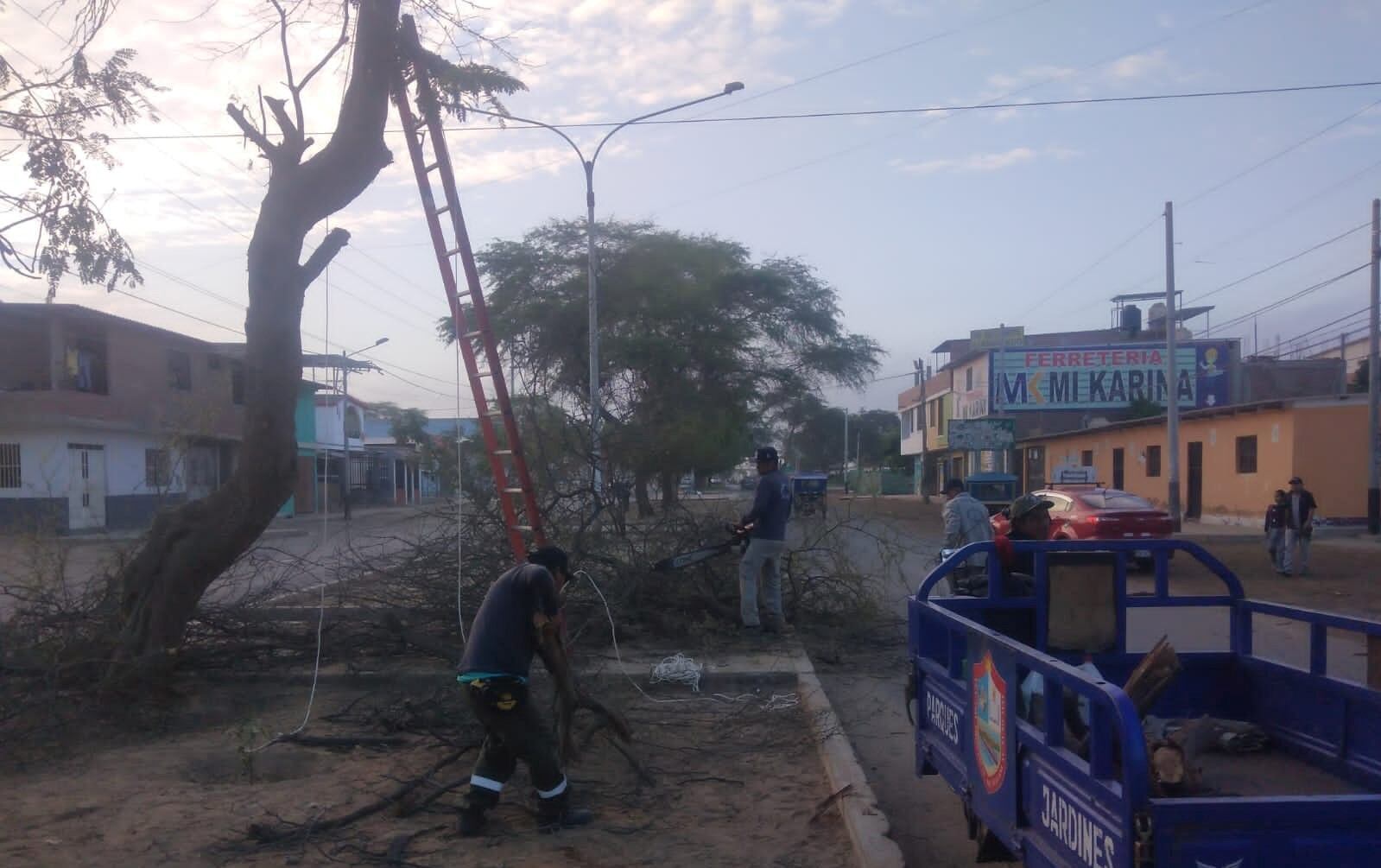Dicha labor fue realizada en la transitada avenida Buenos Aires y lo harán en otros sectores de la provincia