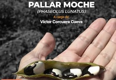 El cultivo del Pallar Moche: Un taller imperdible