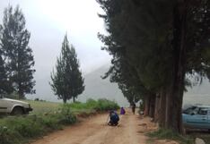 Directora enfrenta acusaciones por tala de árboles y obstrucción de vía pública en Huánuco