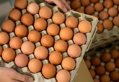 Ica lidera la producción de huevos de gallina en el país