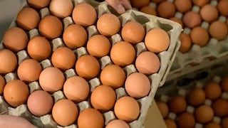 Ica lidera la producción de huevos de gallina en el país
