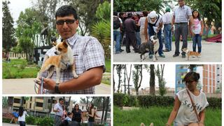 Arequipa: Más de 100 perritos participaron en taller de adiestramiento