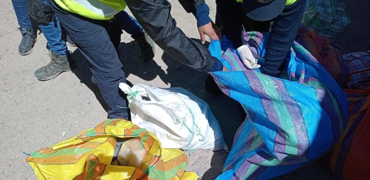 El ilegal cargamento se encontraba dentro de la bodega de ómnibus. Foto/Difusión.