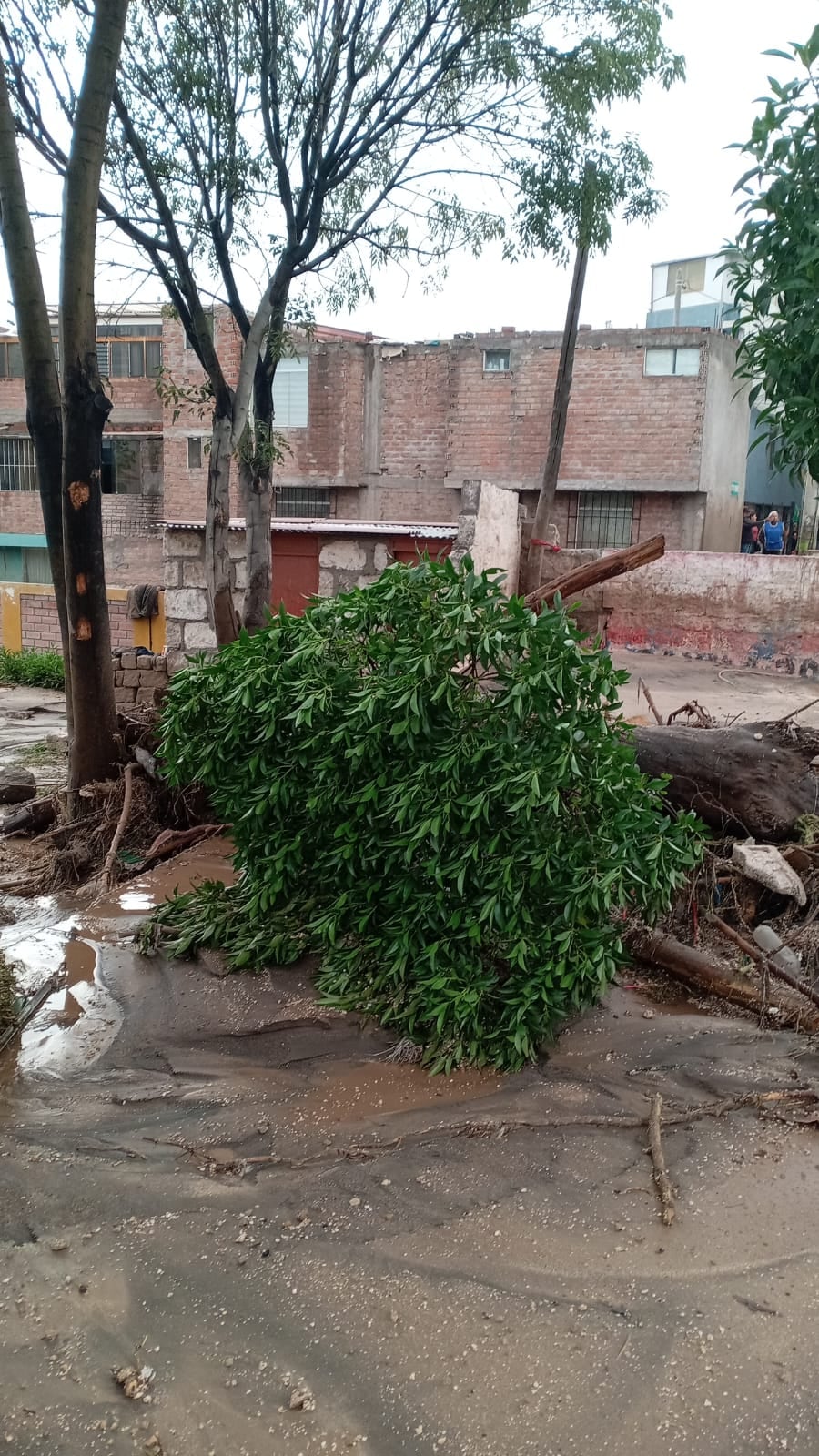 Viviendas inundadas y vías afectadas en Cayma, tras intensas lluvias. Foto: GEC.