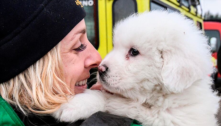 Referencial (Foto: EFE)