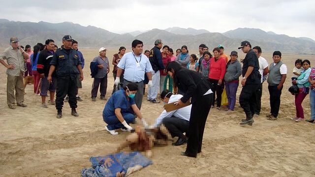 Jauría asesina a joven en granja de Chincha