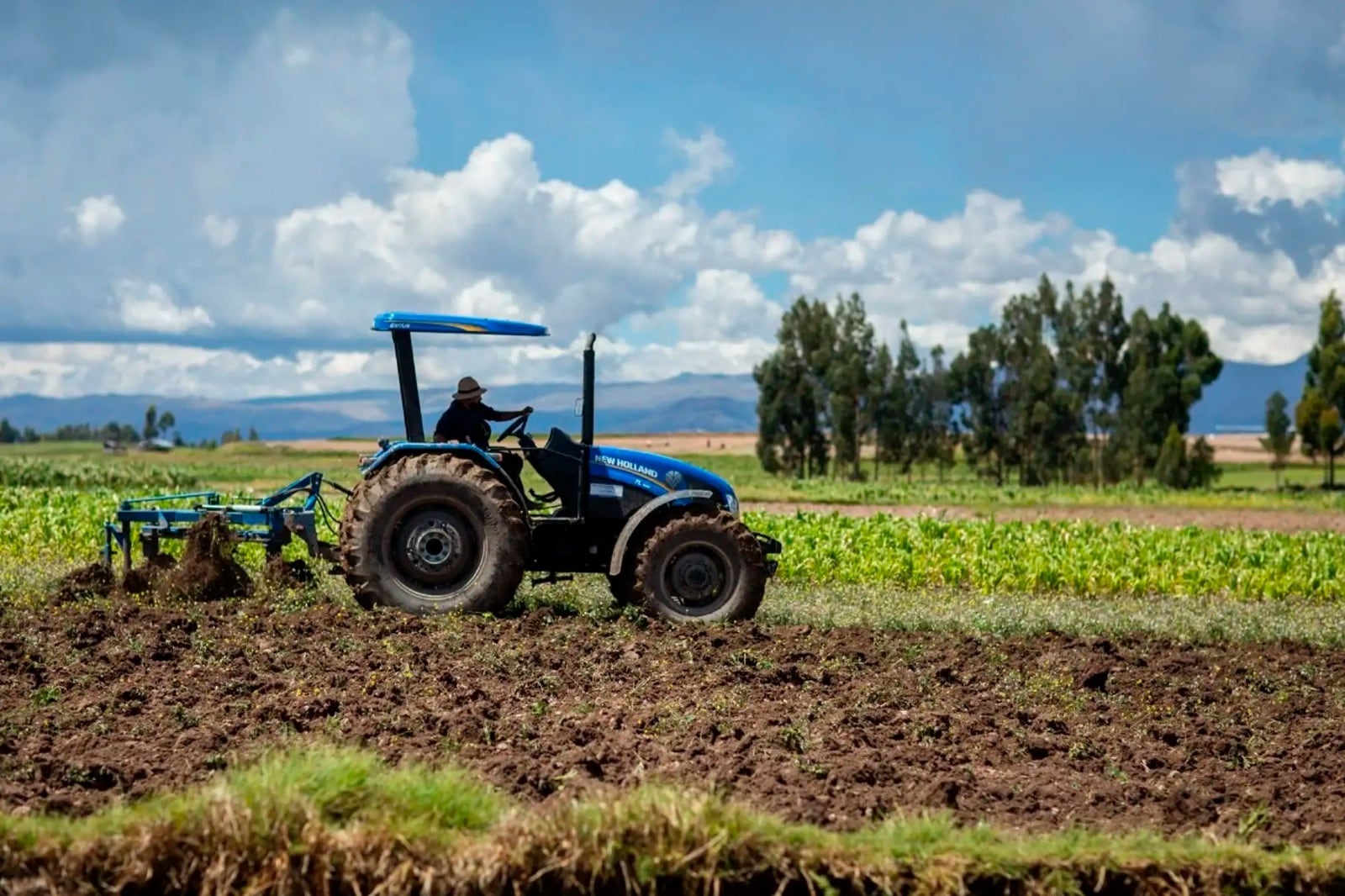En siete provincias de La Libertad. Además, fortalecerán su productividad con maquinaria, asistencia técnica y paquetes tecnológicos.